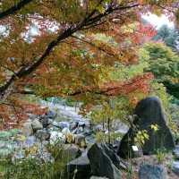 Garden with Fall colors 