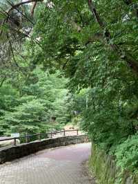 피크닉도 단풍구경도 가능한 ⛰️ 도봉산 