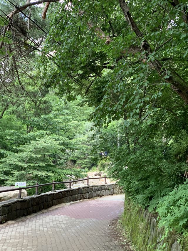 피크닉도 단풍구경도 가능한 ⛰️ 도봉산 
