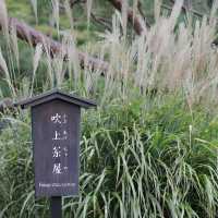 【六義園】秋・都心の自然でリフレッシュ