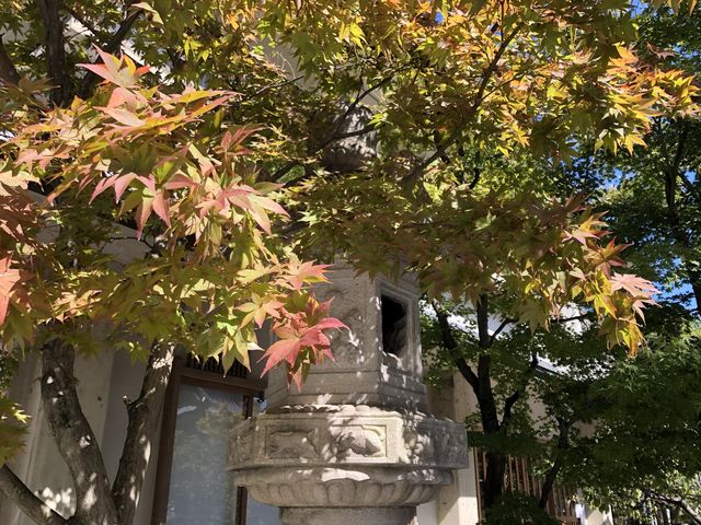【福岡】二日市駅近くの素敵な寺院