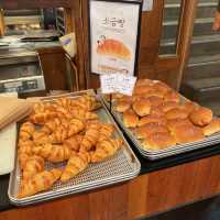 韓国/大田　韓国3大パン屋さん【聖心堂】本店🍞✨