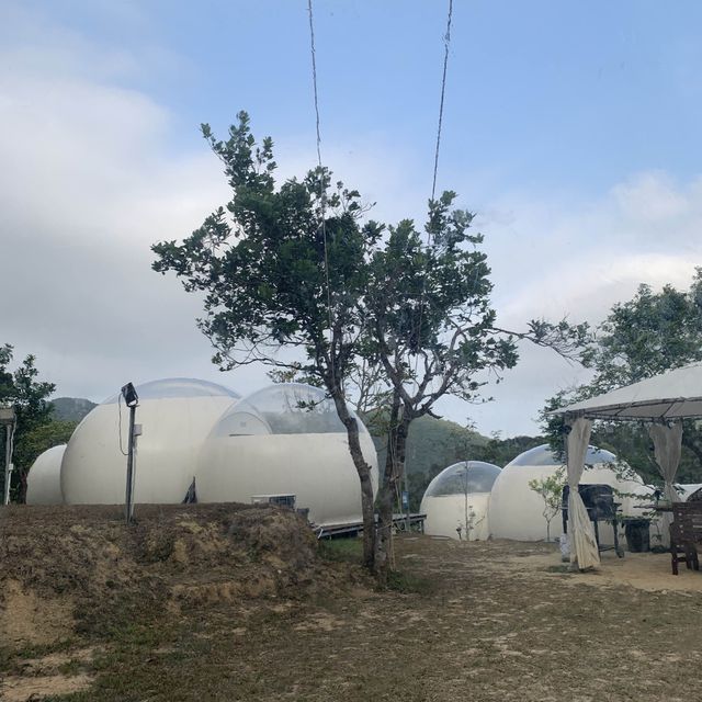 香港透明波波星空Glamping露營好去處 岩一家大細！