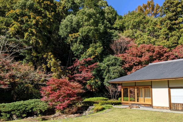 広大すぎてムリ【東山動植物園】植物エリア | Trip.com 名古屋