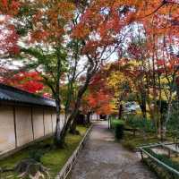 室町時代からの歴史的文化財も多数【二尊院】✨
