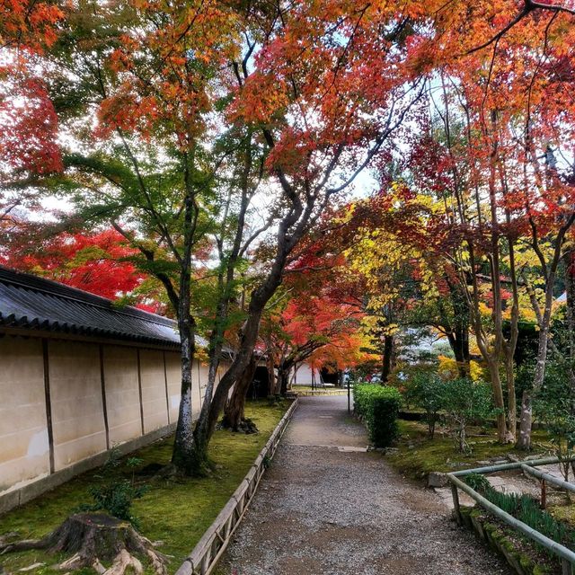 室町時代からの歴史的文化財も多数【二尊院】✨