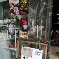 Naug Cafe Plants Make People Happy