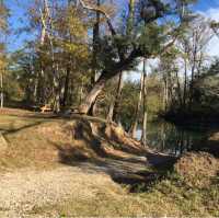 Hinson Conservation & Recreation Area