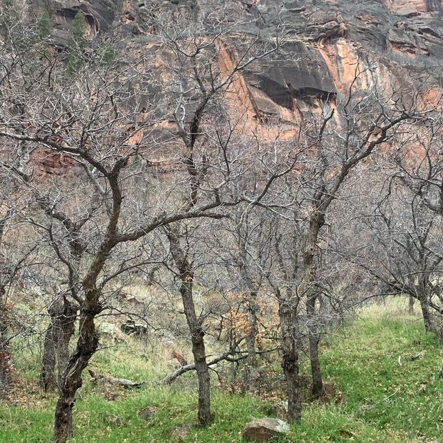 Zion Adventure 