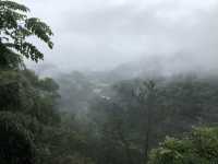 Wuyishan Scenic Area