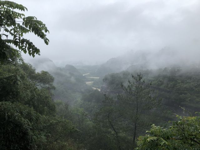 Wuyishan Scenic Area