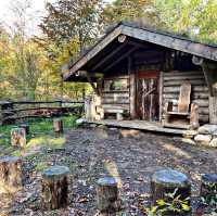 School in the Forest