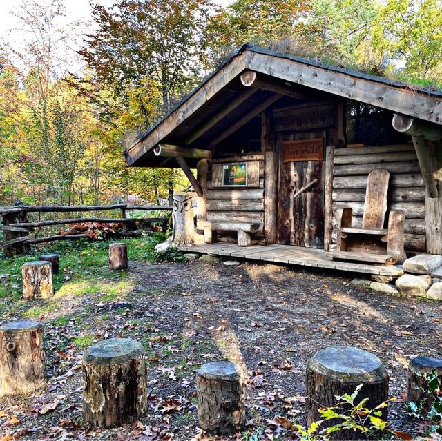 School in the Forest