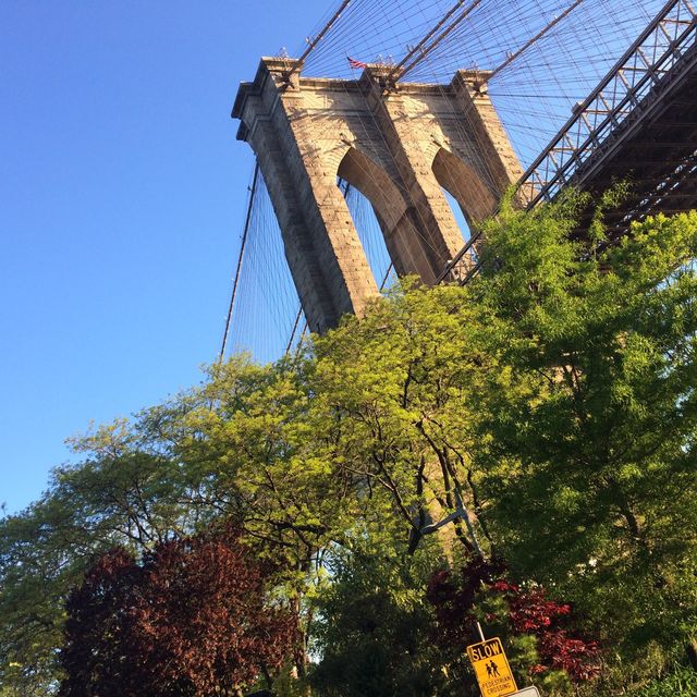 Seeing Brooklyn Bridge from dawn to dusk 