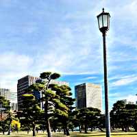 Regards from the Imperial Palace Garden