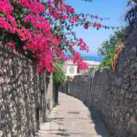 Capri island, lovely place in Italy 