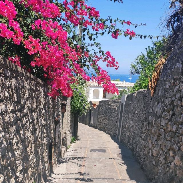 Capri island, lovely place in Italy 