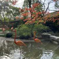 Best Zoo in Shanghai