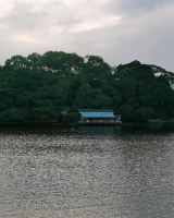 Donghu Park(东湖公园)| Chilled Park