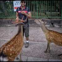 Nara Park ❤️ 
