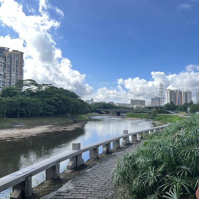 打卡深圳觀瀾濕地公園