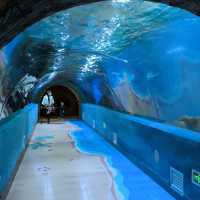🐬🐳🐡🦈Hefei Auqarium