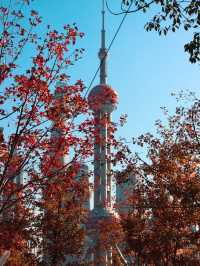 Winter Perspective of the Pearl Tower🧡🍁