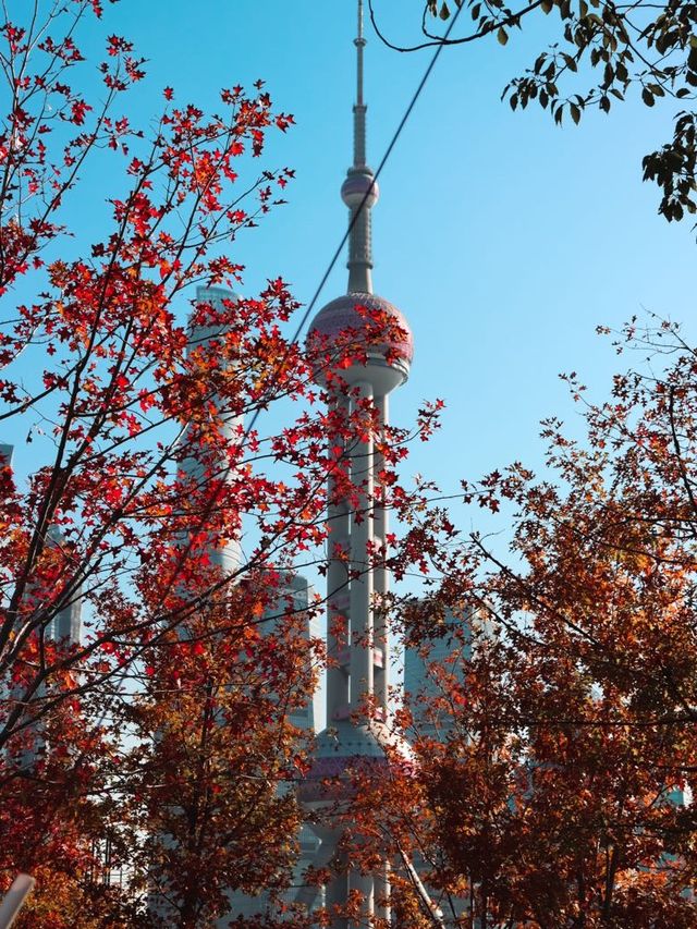 Winter Perspective of the Pearl Tower🧡🍁