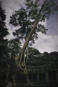 Angkor Wat