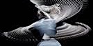 Danser l’espace - spectacle | MPAA Saint-Germain