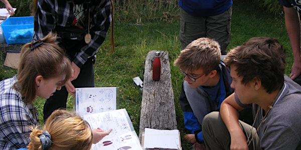 Work experience with your local wildlife trust - Sutton Courtenay, Tuesday 12 August - Thursday 14 August | Sutton Courtenay Environmental Education Centre