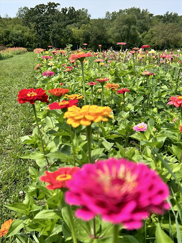 Blossom Ridge Vases and Bouquet Class | 15908 Hebron Rd