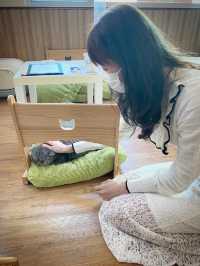 貓貓Cafe