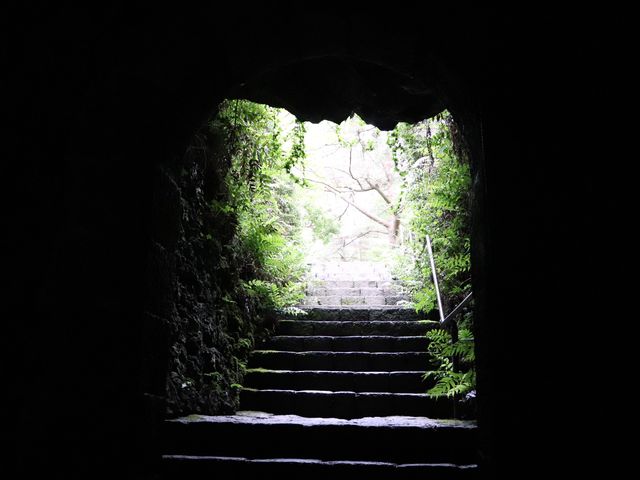 신비하고 시원한곳, 한림공원🌿