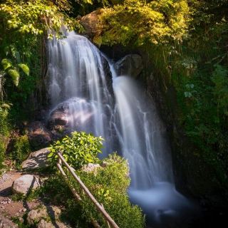 CIPAMINGKIS WATERFALL : BOGOR