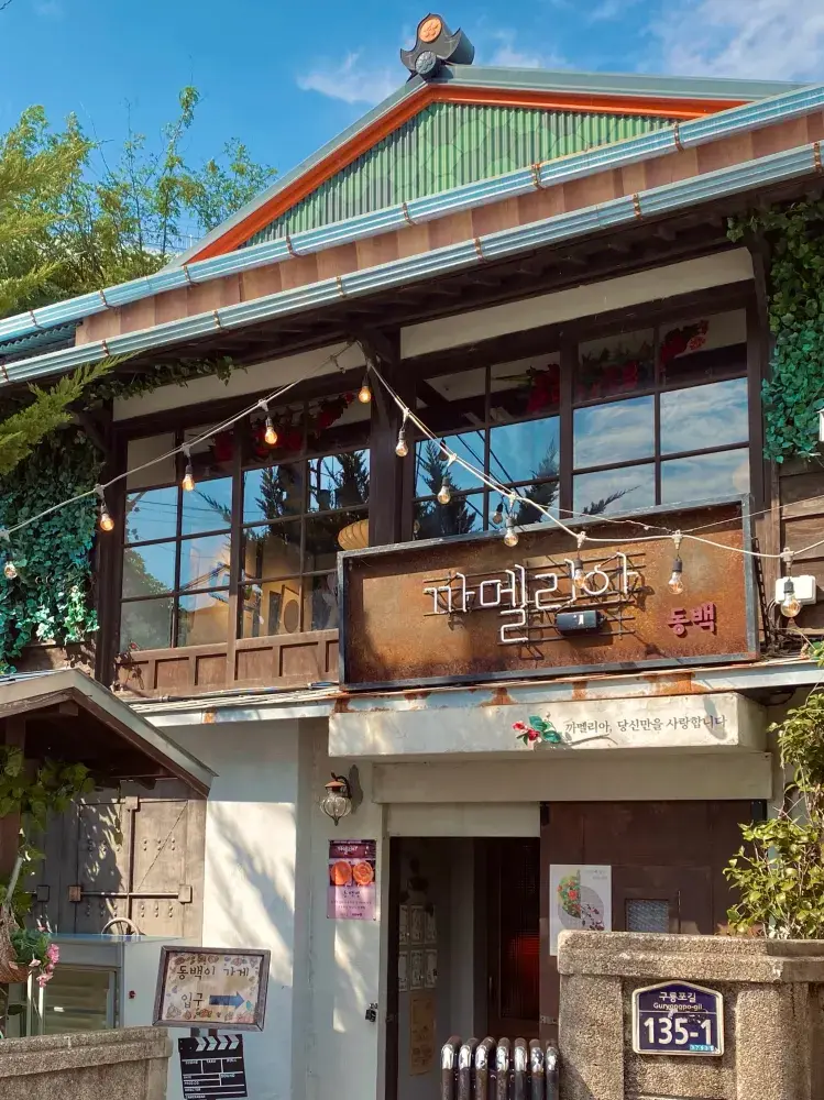 복합문화공간으로 재탄생한 동백이의 까멜리아 !