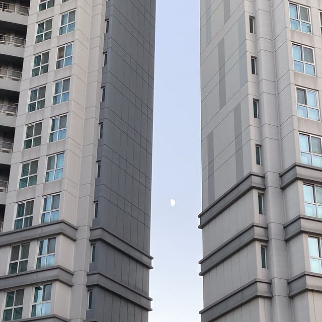대전 스마트시티에 가보셨나요?