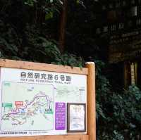 【東京・八王子】秋の高尾山