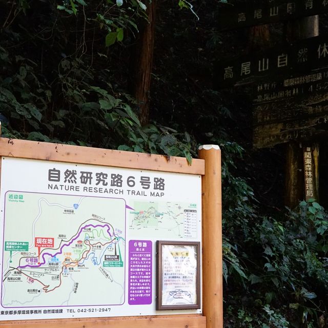 【東京・八王子】秋の高尾山