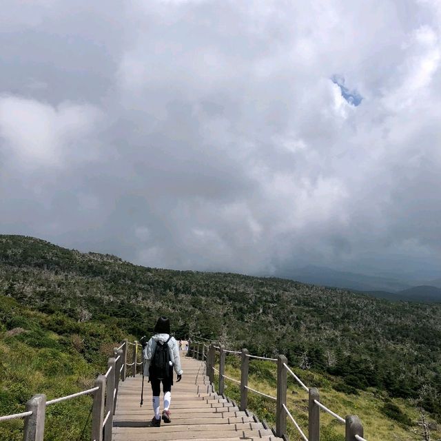 제주도 버킷리스트! 한라산 등반 완료