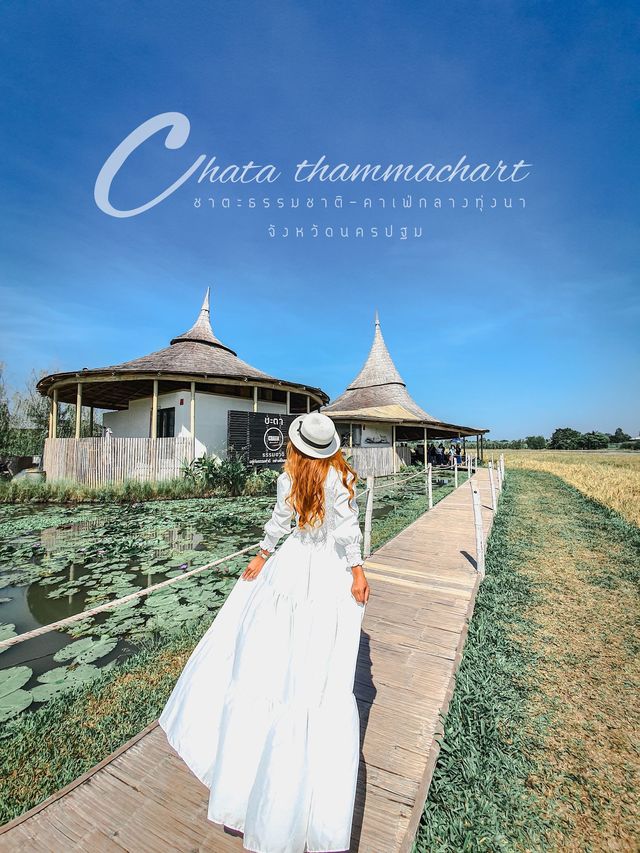 Chatathammachart คาเฟ่ฟิลทุ่งนา นครปฐม