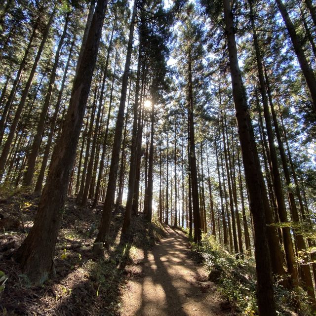 小仏城山〜景信山縦走コース