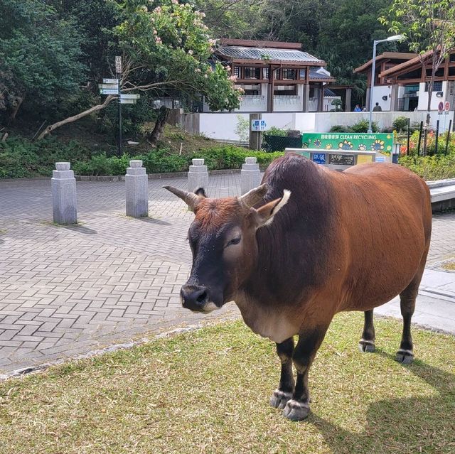 往寶蓮寺和天壇大佛的「地壇」及「門牌坊亅 