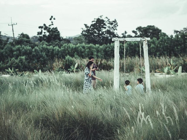 𝗠𝗲𝗺𝗼𝗿𝘆 𝗛𝗼𝘂𝘀𝗲 𝗖𝗮𝗳𝗲 𝗛𝘂𝗮𝗛𝗶𝗻 🌾🍯