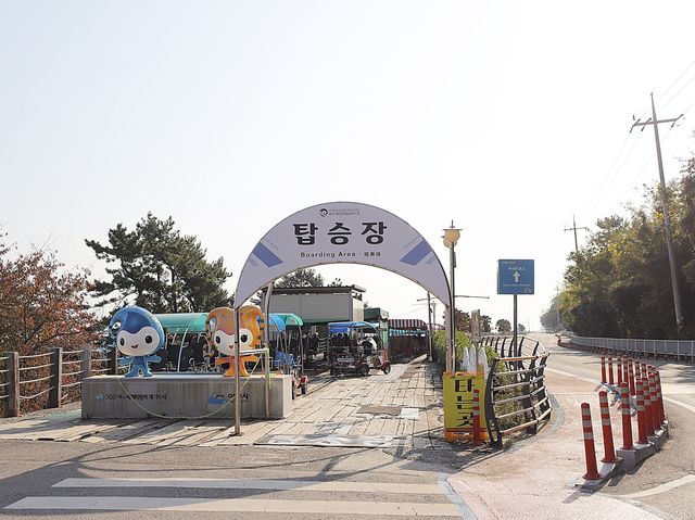 여수 레일바이크 바다를 보며 달린다