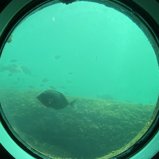 【高知】足摺海底館