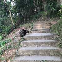 港島最高的空中花園