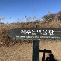 제주도 핫플 돌문회공원 그리고 하늘연못