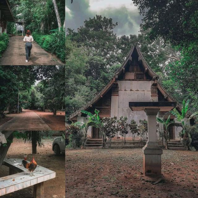 อุตรดิตถ์ เที่ยวเมืองลับเเลให้ฟิน ชมถิ่น ธรรมชาติ 