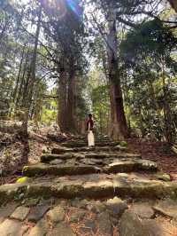 歩ける世界遺産《熊野古道＊大門坂》